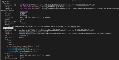 istio-proxy.jpg