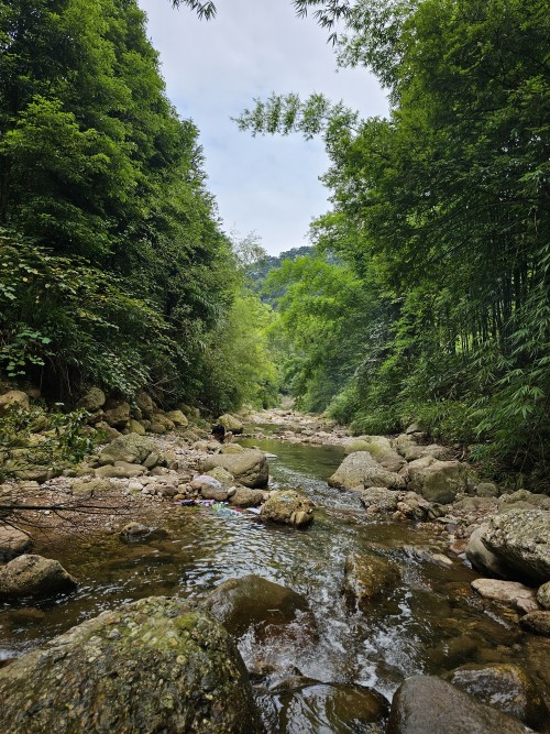 view.jpg
